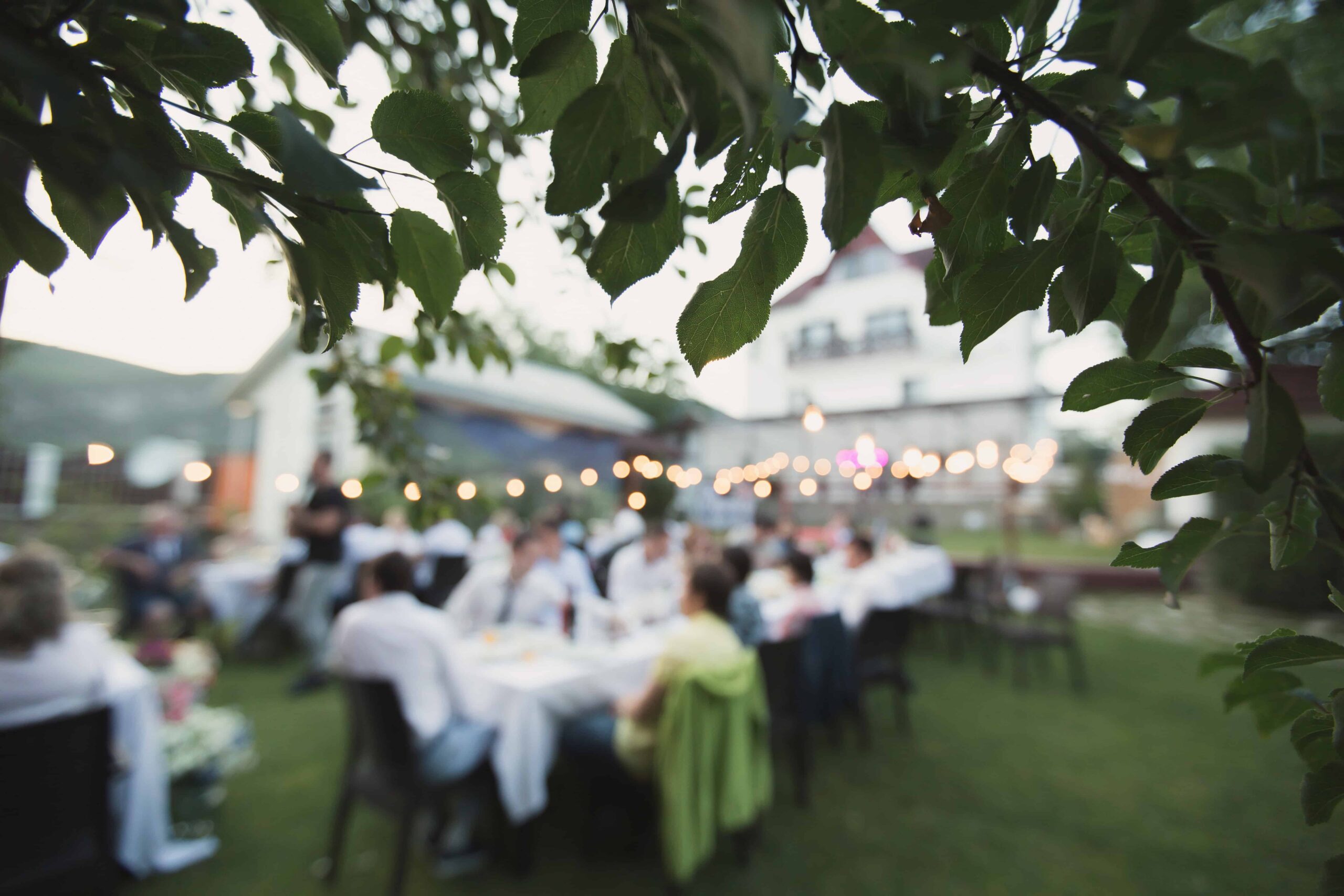 wedding background 1
